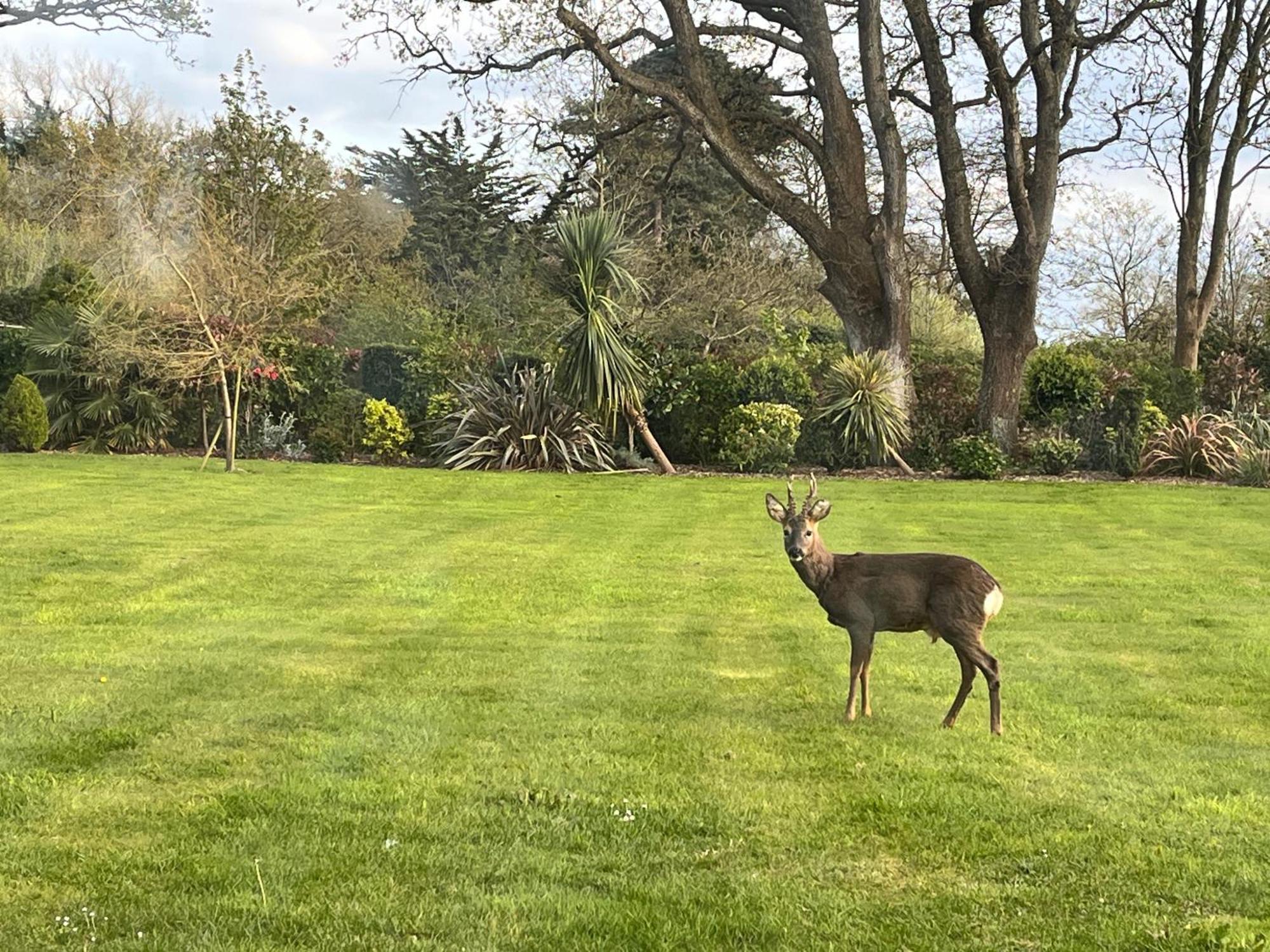 Stay At 'The Elms' In Tranquil Church Norton, Selsey - Ground Floor Bedroom, Own Private Bathroom, Quiet Beach, 2 Acre Garden By The Sea, On Edge Of Wildlife Nature Reserve מראה חיצוני תמונה