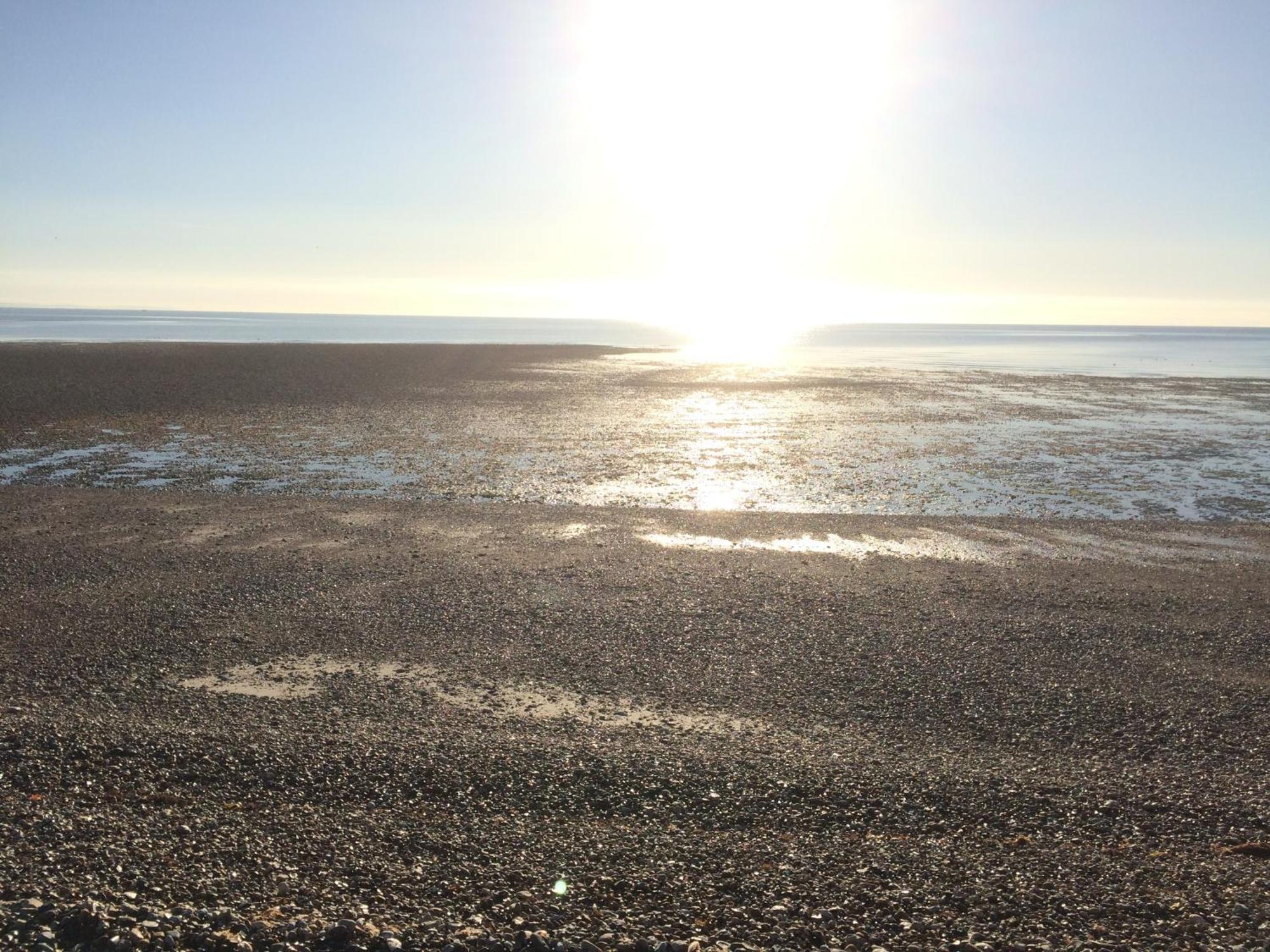 Stay At 'The Elms' In Tranquil Church Norton, Selsey - Ground Floor Bedroom, Own Private Bathroom, Quiet Beach, 2 Acre Garden By The Sea, On Edge Of Wildlife Nature Reserve מראה חיצוני תמונה