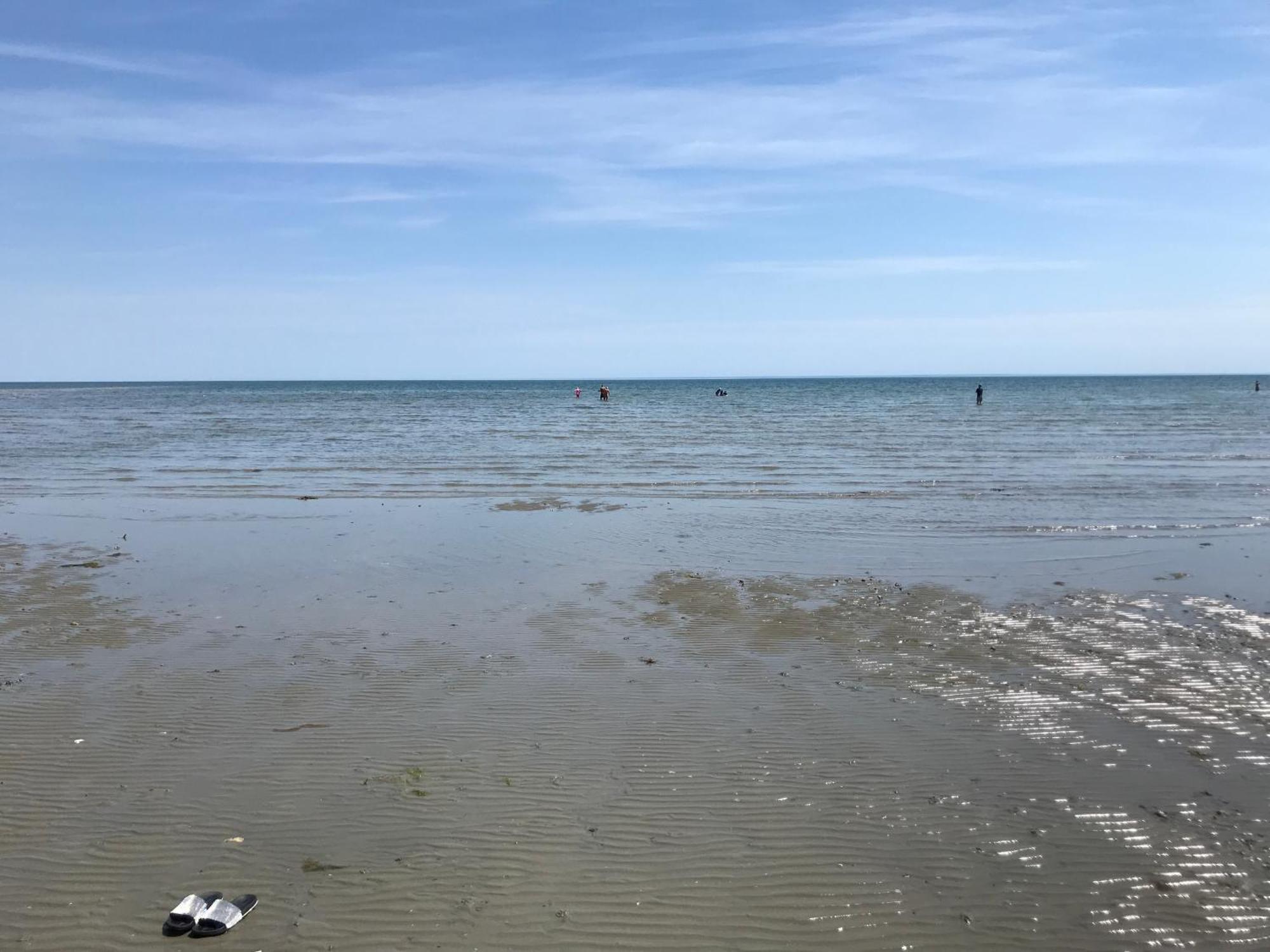 Stay At 'The Elms' In Tranquil Church Norton, Selsey - Ground Floor Bedroom, Own Private Bathroom, Quiet Beach, 2 Acre Garden By The Sea, On Edge Of Wildlife Nature Reserve מראה חיצוני תמונה